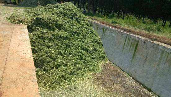 秸稈粉碎機->鋸末->做秸稈飼料