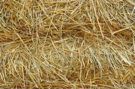 秸稈玉米水稻棉花稈粉碎應用