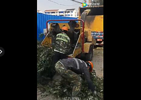 園林果樹枝粉碎機視頻客戶作業現場展示