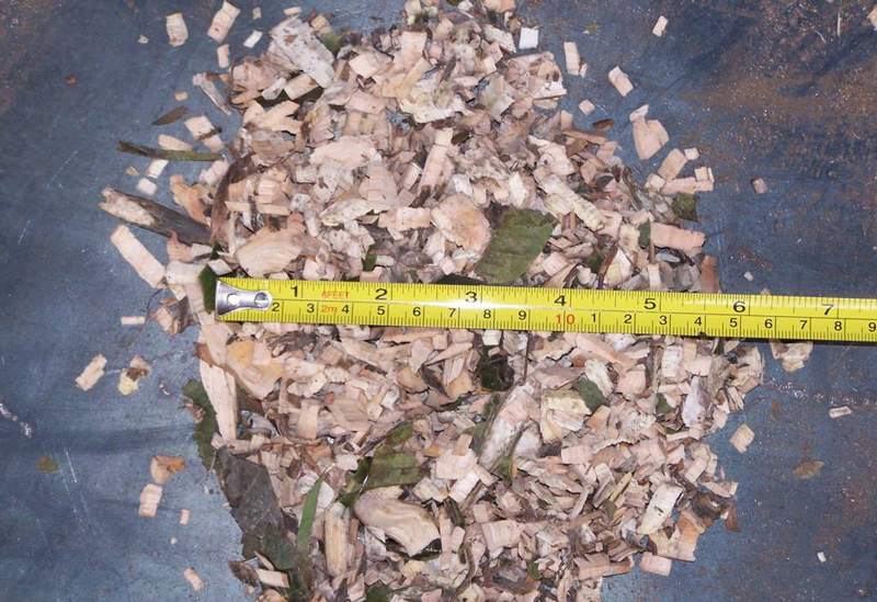 木材粉碎機削片機粉碎效果展示