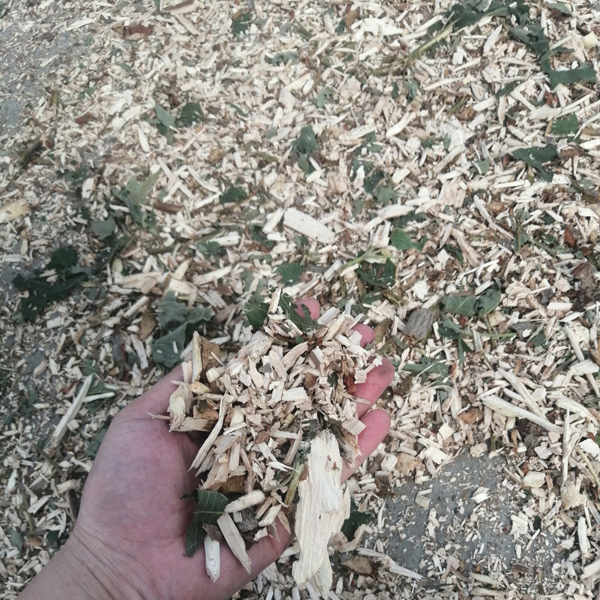 樹枝粉碎機粉碎效果-桐木粉碎