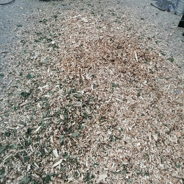 樹枝粉碎機粉碎效果-桐木粉碎