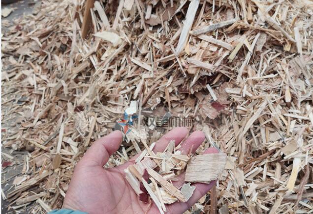 建筑模版破碎機|綜合木材破碎機現場視頻