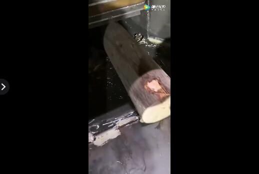 柴油版樹枝粉碎機粉碎樹干圓木現場視頻